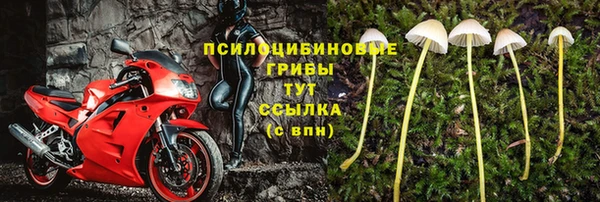 дживик Новозыбков