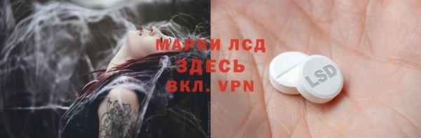 дживик Новозыбков