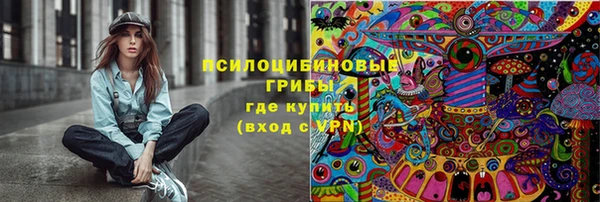 дживик Новозыбков