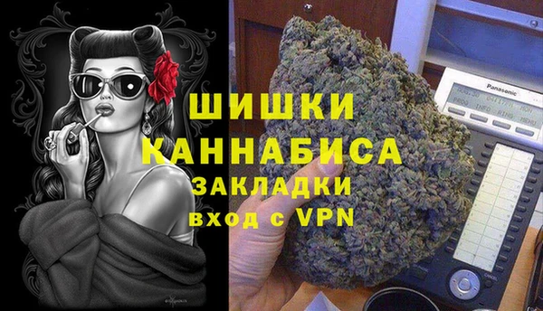 дживик Новозыбков