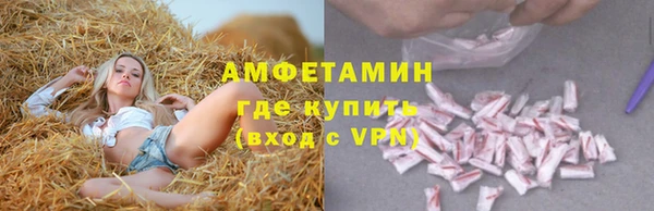 дживик Новозыбков
